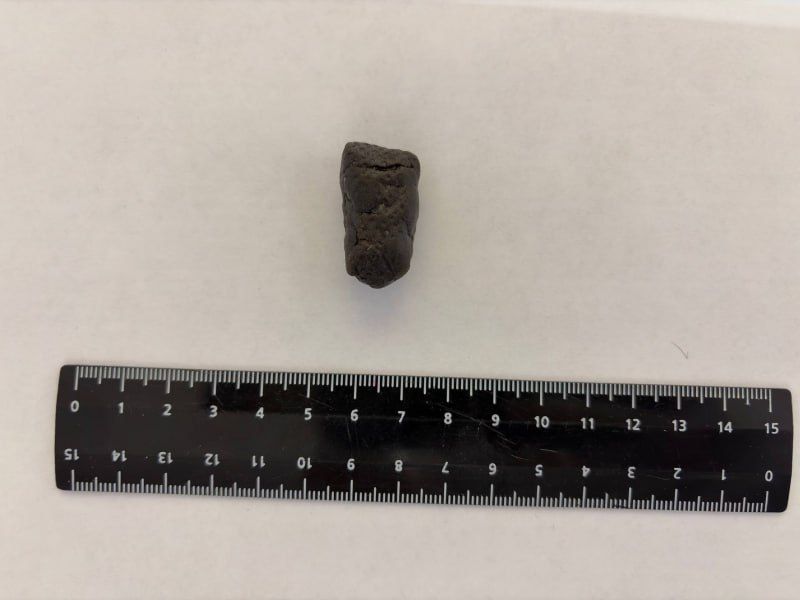 ������������ ��������� �� �������� �� �������� ���������� �� ��� ������ ������������, �������� ����������� ����������, � 7 ����������� ������ ����������, ��������� �������������� � ������������ � �������� �������������...