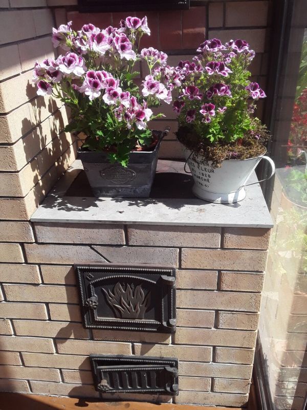 Дачные приключения: как управляюсь без мужа на участке