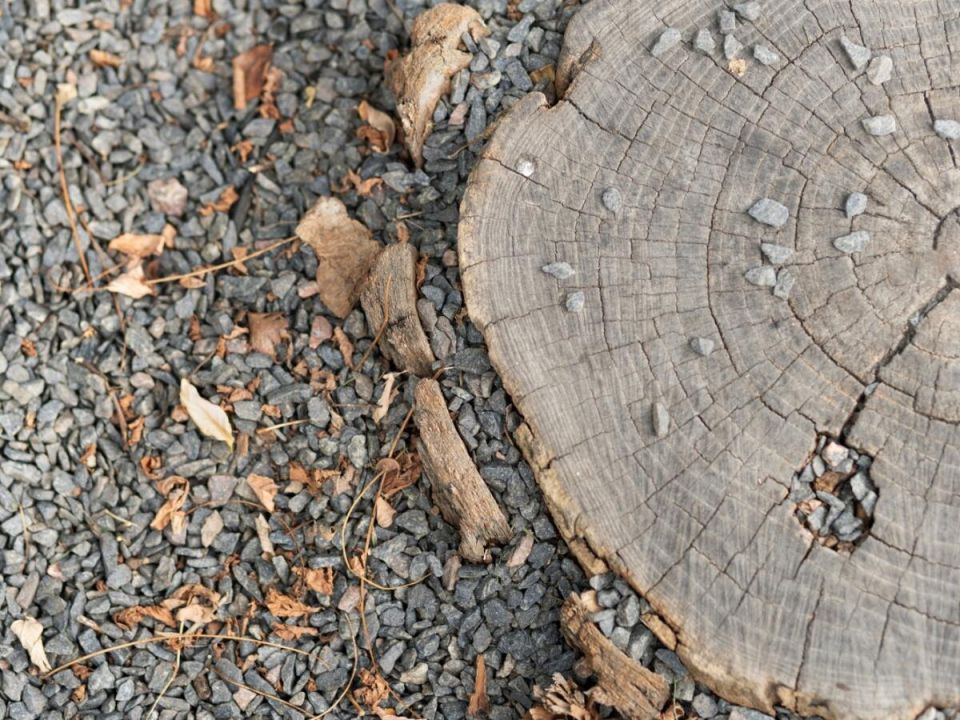 Деревянная дорожка, которая украсит ваш участок на долгие годы