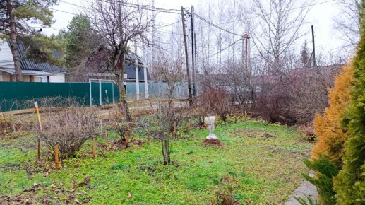 ��� ����������� �������� ����� �� ���� � ������� ������ � ������