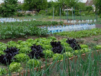 ����������� �������� �� ����������: ���� ���� ������ ��� ������