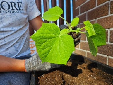 ��� ������������ ������ ������: ��������� ������� ��� ��������� ��������