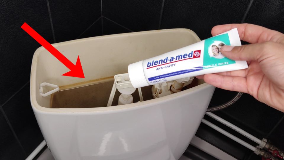 ����� � ������ ����� � �������� � ������ �� ����������� ������ ������