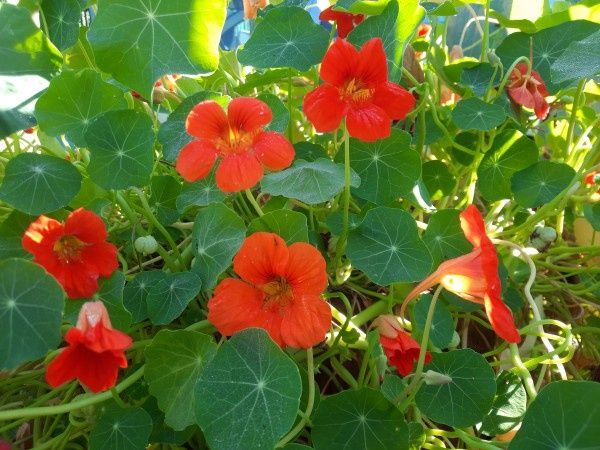 ���������: �� ������ �� �������� ������ � ����� ����