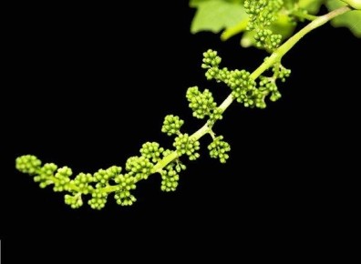 ����������� ������ ������ ���������: ��� ������� ������ �� �������� � ����������