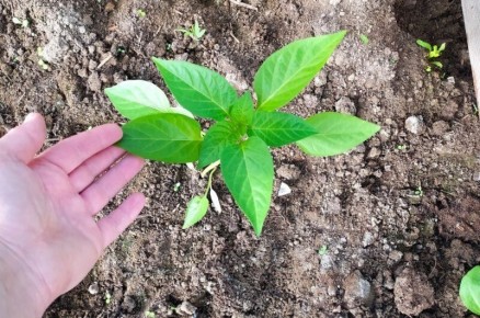 ����� ������ ���� � ���� ���� � ��� ������ ������ � ������ �������