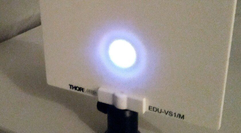 1 ������� ������ ������� ������ � ���� ����� �����