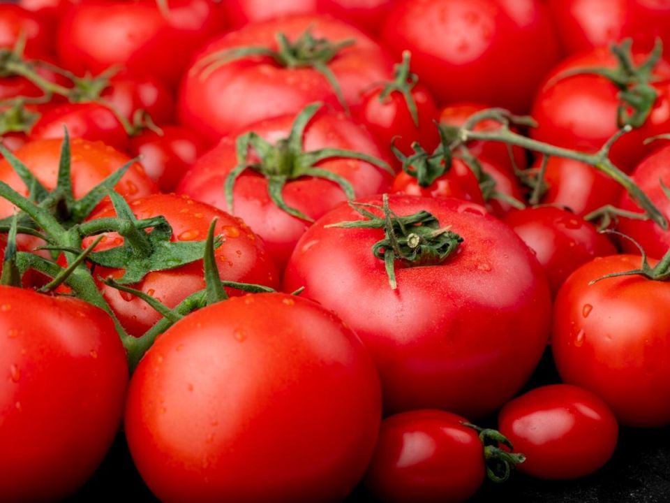 ��������: ������ ���� ����� �� ����� ����� ��������, ����� ������ � ������