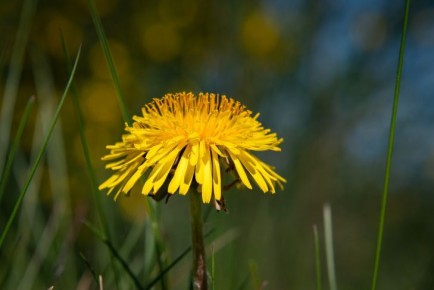 ����������: � ����� ������ ���������� ������� �������