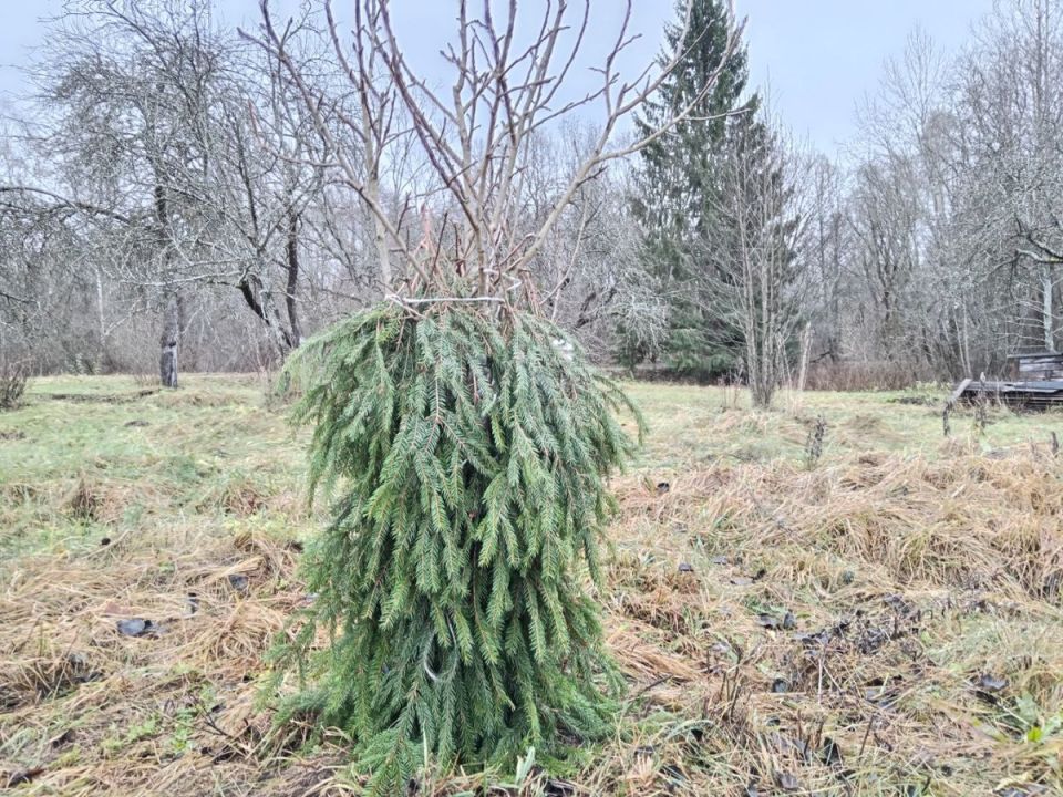 ����� � ����: ��� ����� ������� � �������