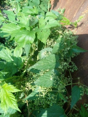 �����: �� ������� �� ���������� ����