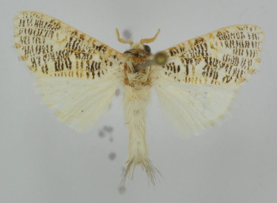 � ������ ������� ����� ������� � ������� � ����� �������� ����������