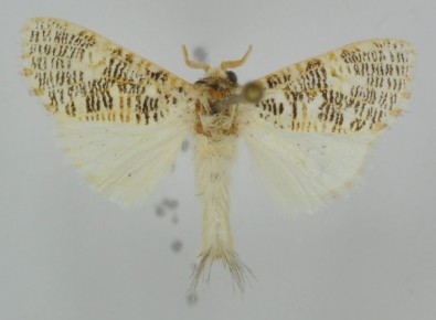 � ������ ������� ����� ������� � ������� � ����� �������� ����������