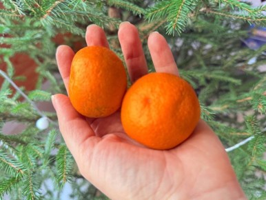 ������� ������������ ������: ��� ��� ����� ������ ������ ����