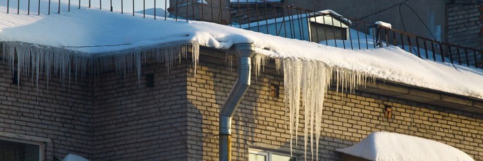 ��� ��������� ������� ����� �� ����� � �������