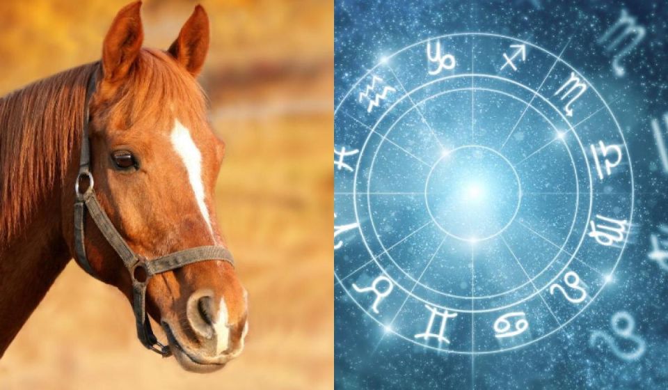 ����� �� ���� �� ����� �������? ����� ���� ��������� ������!