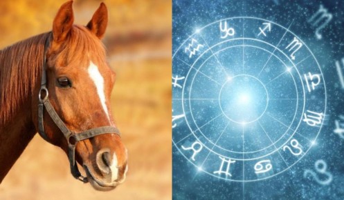 ����� �� ���� �� ����� �������? ����� ���� ��������� ������!