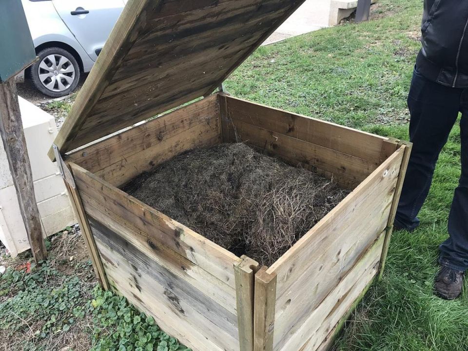 ������ ��� ������� ����� �� ��������: �������� ������ � ��� �������������