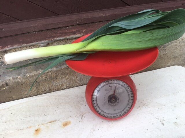 ����������� ����� � �����-������