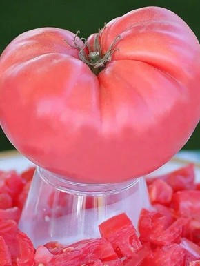 ����� ������� ����: ������� ����� � ������ ������� ��� �������