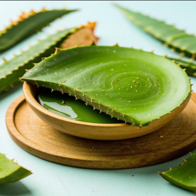 ��� ���� �������� ����� ������� �������� �������