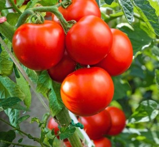 ���� ����: ��� ������ �� 5 �� � ����� � ������� ���� ��� ������� ��������� � ������� ����