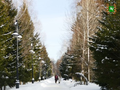 ������ ����, ������� �������!