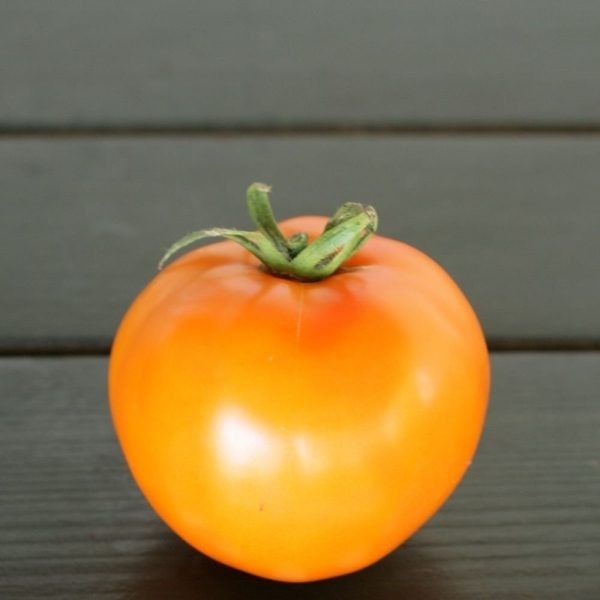 ������ �������: ��� �������� ������ ������ ����� ������ ������� � ����� � ������ � ������� ���� �� �������