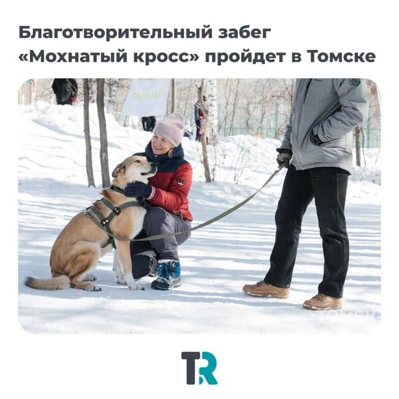 ��������, ��� � ������ ���������