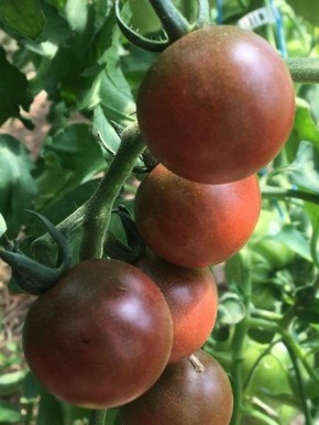 ����� ���������� ����� ���������: �� �������� � ������ �����