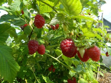 ���� � ����: 7 ������� ������, ������� ������ ������ � ��������� ��� �����