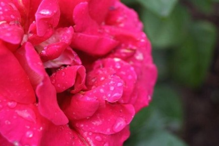 ������ ������ ���: ������������ ������ ��� ��������� ������