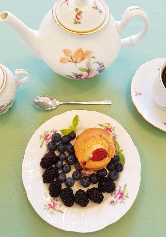 ��� ������ ������ ��������-���������� ����� � ��������� �� 40 ����� � �� ���������