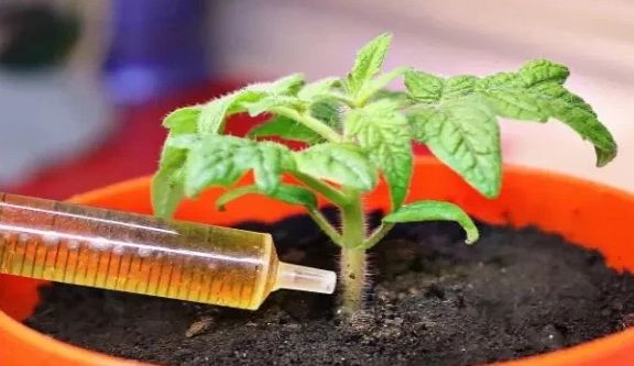 ��� ������� ����������� ������ �������� ������� ����� ������ �� ��������� ����