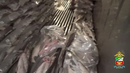 � ������� ������� ������������ ����������� ������� ����������� � ���������� ������ ���� ������ ����� �� 3,7 �������� ������