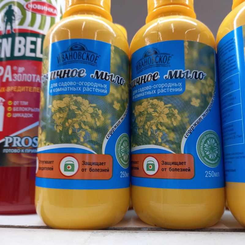 ��� ������� ���� ��� ������ ���� � �������: ������ �����������