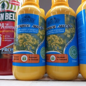 ��� ������� ���� ��� ������ ���� � �������: ������ �����������