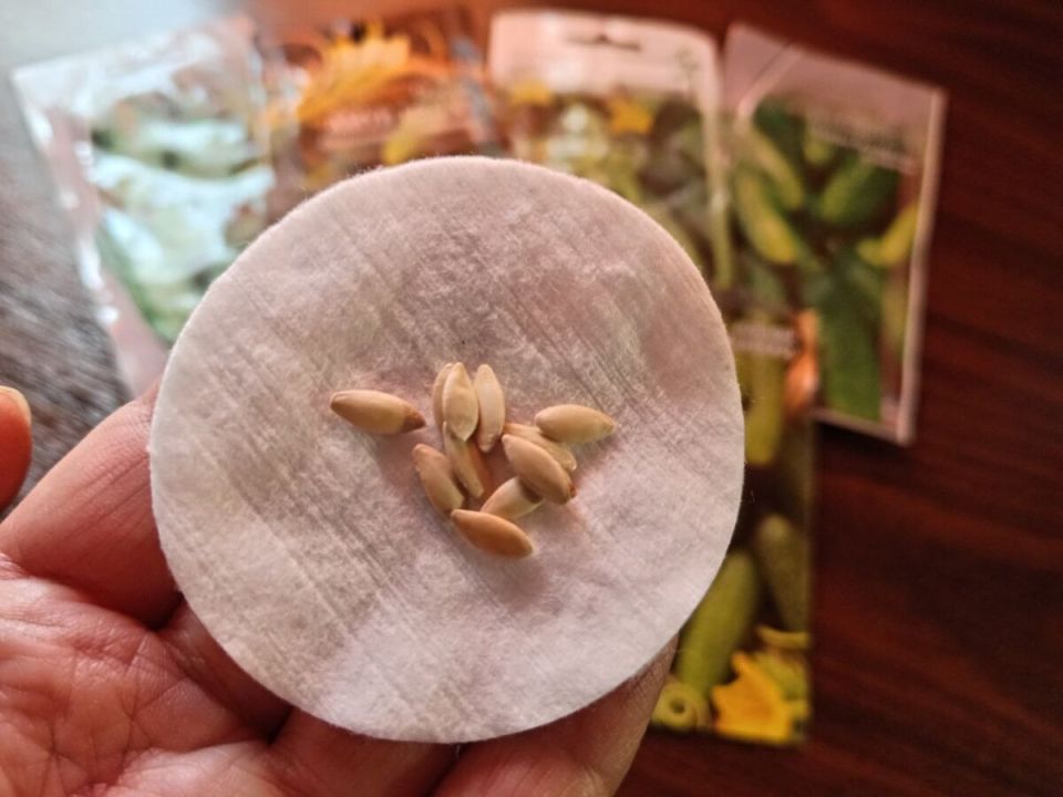 ��� ��������� ����������� ������ ������� ��� ��������� ������