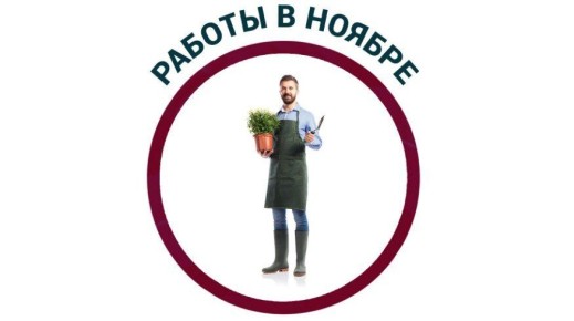 ��� ����������� ��� � ����: 6 ������� ����� ��� ���������