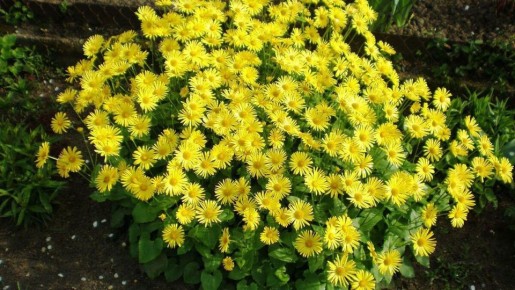 ������� ������� �������������: ��� ������� ��� ��� ��������� ������������� ���������