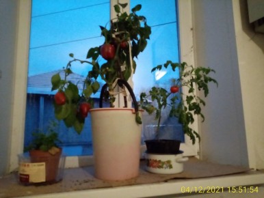 ��� ������� ����� ���������� �������� ������� ���� �����