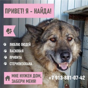 ������! ���� ����� �����, � � ������� ������� � �������� ������ �������