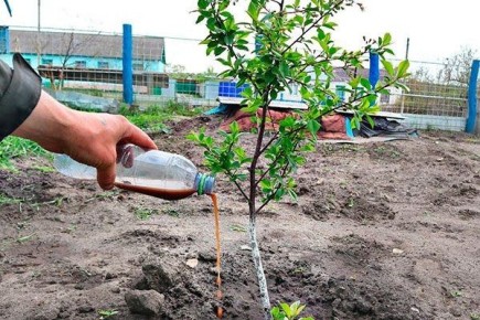 ������������ �� ���������, ������� � �������� ��������� ���� ��� �������� ������