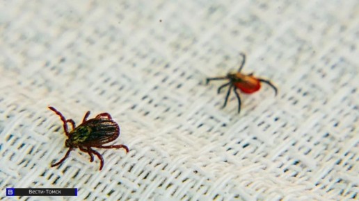 ����� ������: ��� ���������� ���������� �� ���� ���