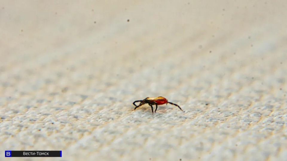 ����� ����� ����� �� ������ �� 2 ������ ������ � ������� �������