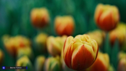 � �������� ��������� ��������: ��� �������� ������ � �����