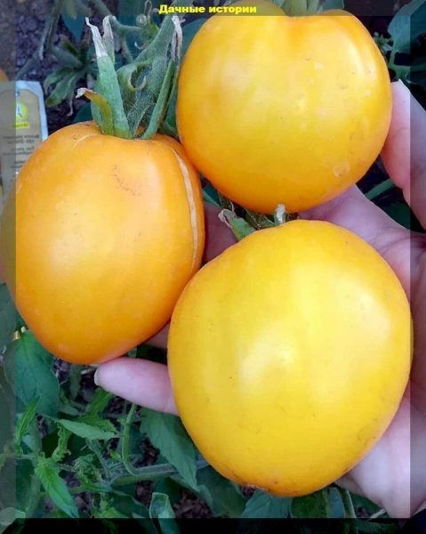 ����� ��������: ��� �������� ������� ������ � ��������� ������ � ����� ��������