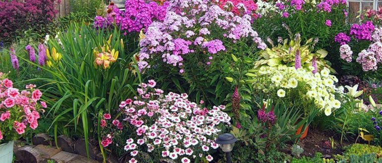 ������� ��������� ����: ��� ������� ��������� �������