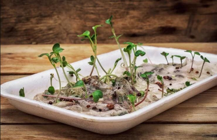 ��� ������������� ����� �������� ���������� ��������