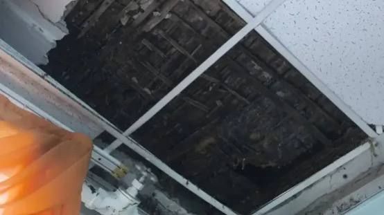 ����� � ���� ��������� ��������� �� ������� ����� ������ �������